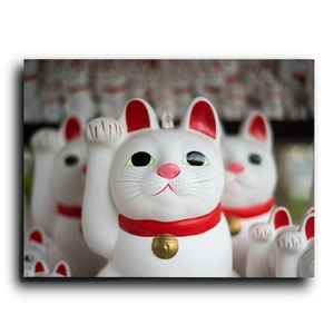 gatitos blancos