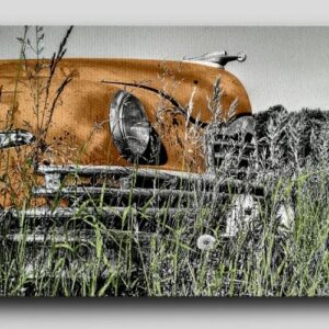 Auto En Campo