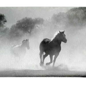 Caballo Galope