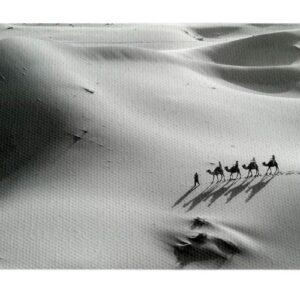 Desierto B/N