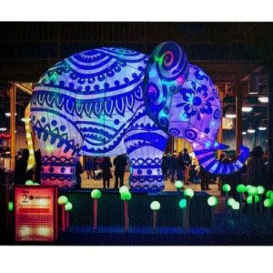 Elefante Colores