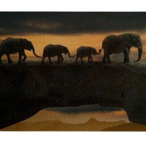 Famila Elefante