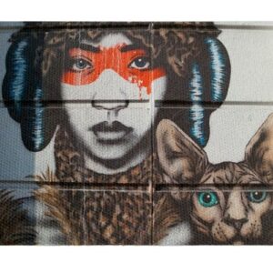 Grafiti Mujer gato