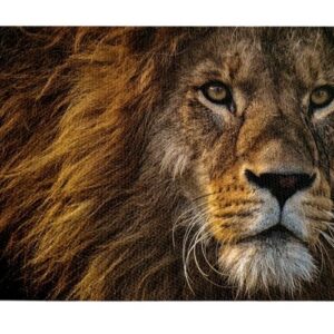 Leon De Frente