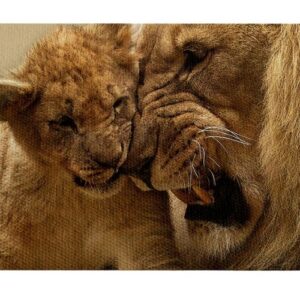 Leones Pareja