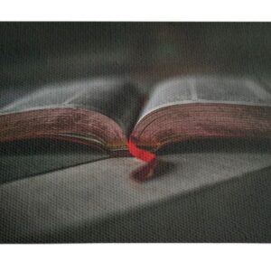 Libro Abierto