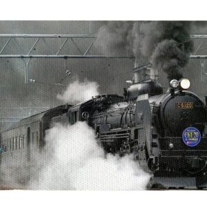 Locomotora
