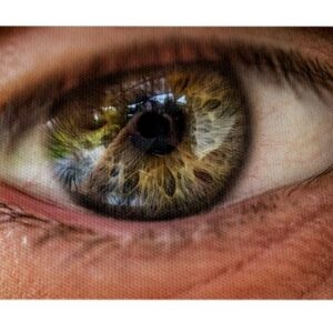 Ojo Humano